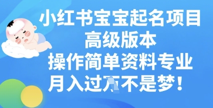 小红书宝宝起名项目高级版本，操作简单，资料专业，月入过W-“发个发”赚钱知识平台