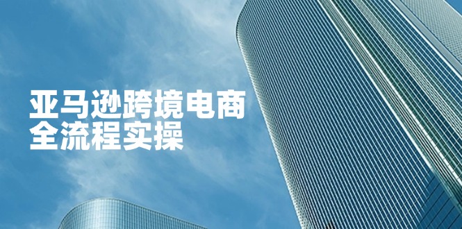 （14252期）亚马逊跨境电商全流程实操，教你从零开始，掌握店铺运营与广告技巧-“发个发”赚钱知识平台