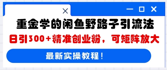 重金学的闲鱼野路子引流法，日引300+精准创业粉，可矩阵放大-“发个发”赚钱知识平台
