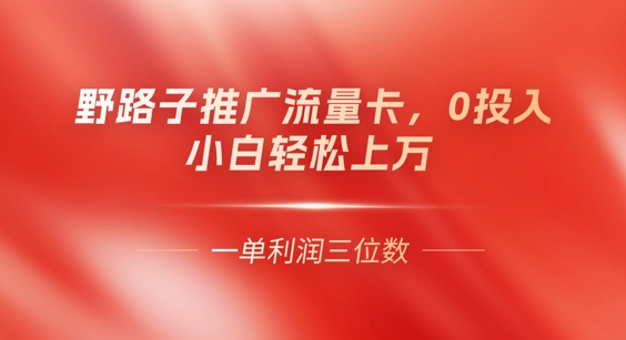 0门槛推广流量卡，一单收益上百，0投入，小白月入过W-“发个发”赚钱知识平台