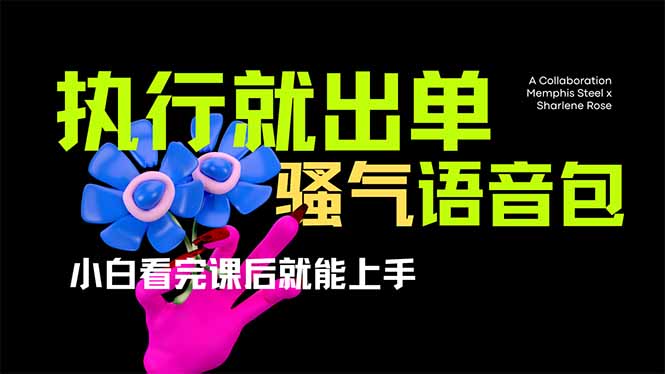 (14170期)爆火全网的开车导航骚气语音包,只要执行就出单,小白看完课程就能实操...-“发个发”赚钱知识平台